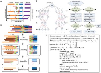 IMPre: An Accurate and Efficient Software for Prediction of T- and B-Cell Receptor Germline Genes and Alleles from Rearranged Repertoire Data